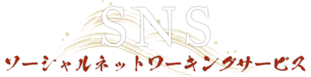 SNS ソーシャルネットワーキングサービス